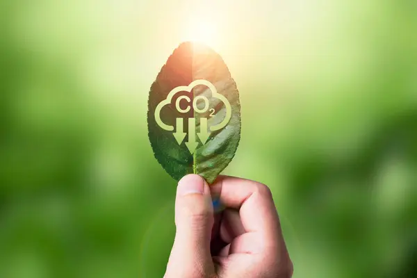 Küresel ısınmayı iklim değişikliği kavramından sınırlamak için CO2 'yi, karbon ayak izini ve karbon kredisini azaltmak amacıyla yeşil arkaplanda karbon azaltma ikonu bulunan yeşil yaprak..