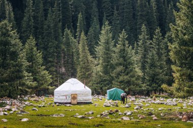 Yurt Jeti Oguz Vadisi 'nde. Kırgızistan ve Asya ülkelerinin eski ulusal evi. Yeşil çayırlar ve dağlık arazilerin arka planında yurtlar. Yurt kampı turistler için.