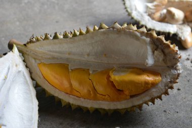 Olgun bir Durian meyvesine yakın çekim. Çok cazip..