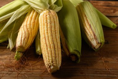 Çubuklu çiğ yeşil mısır, tatlı mısır.