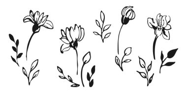 El yapımı mürekkep çiçeği yaprağı seti. Çiçek sembolü, kalın fırça darbesi şekli, şirin düz karalama serbest çizgi film klipsi, siyah siluet, izole elementler. Vektör illüstrasyonu