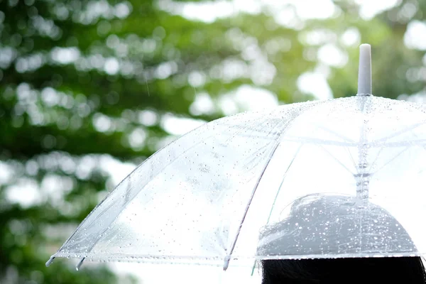 Frauen Gehen Regen Hand Von Frauen Mit Regenschirm Sie Ist — Stockfoto
