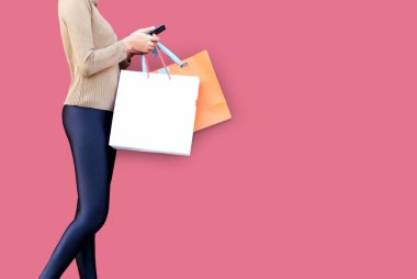 Kadınlar internet üzerinden akıllı telefon alışverişi, moda kıyafetleri ve şık kıyafetler kullanır. Renkli bir alışveriş çantası taşı..