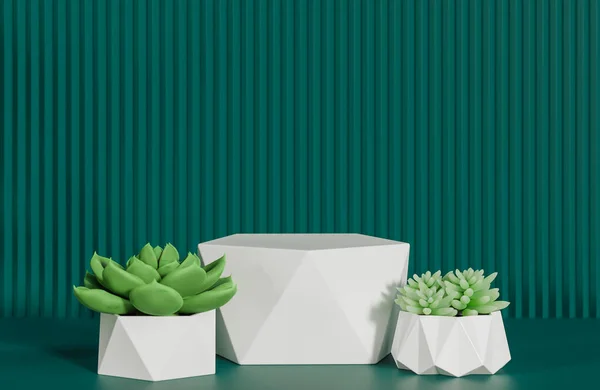 Vit Prisma Pallplats För Produktpresentation Och Kaktus Grön Tandad Vägg — Stockfoto
