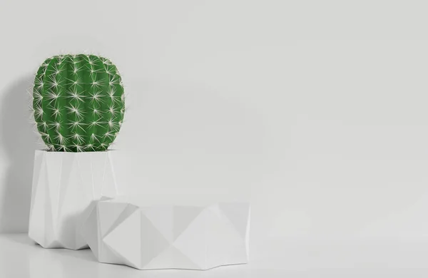 Vit Prisma Pallplats För Produktpresentation Och Kaktus Vit Vägg Bakgrund — Stockfoto