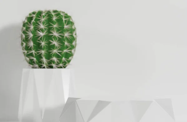 Vit Prisma Pallplats För Produktpresentation Och Kaktus Vit Vägg Bakgrund — Stockfoto
