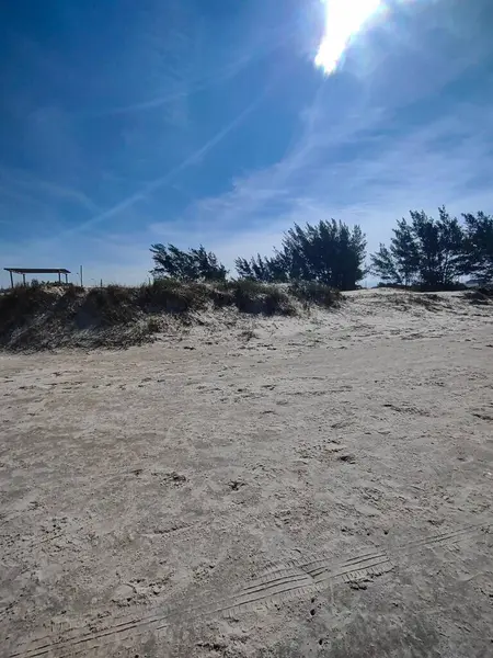 Kristal mavi gökyüzünün altında, arka planda yumuşak beyaz bulutlar ve yemyeşil yemyeşil, güneşli bir sahil manzarası. Işık kumları güneş ışığını yansıtır ve sakin bir atmosfer yaratır..