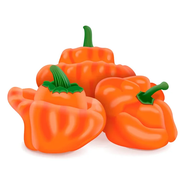 Gruppo Peperoni Con Copricapo Arancione Scotch Capsicum Chinense Peperoncino Piccante — Vettoriale Stock