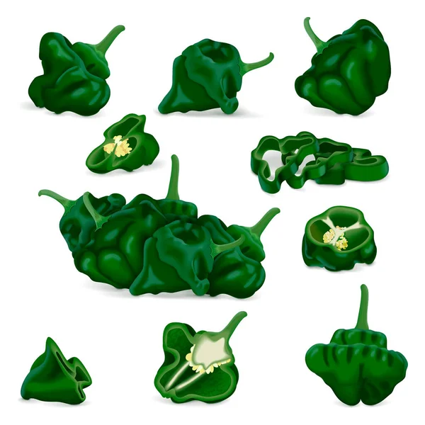 Yarısı Çeyreği Dilimleri Yeşil Viski Şapkalı Biberlerle Dolu Capsicum Chinense — Stok Vektör