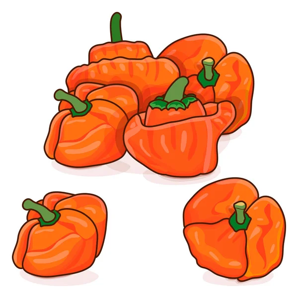 オレンジ スコッチ ボンネット ペッパーのグループ カプセウム チンセンス 唐辛子が熱い 新鮮な有機野菜 漫画風 白を基調としたベクトルイラスト — ストックベクタ