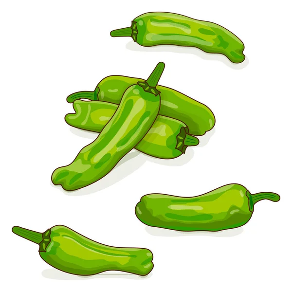 Grupo Pimiento Verde Shishito Capsicum Annuum Pimienta Chile Verduras Orgánicas — Vector de stock