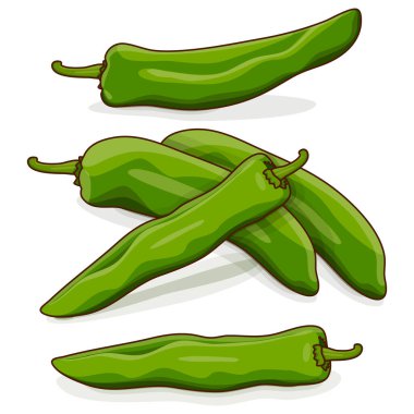 Bir grup Yeşil Anaheim biberi. New Mexico biberleri. Capsicum annuum. Chili biberi. Taze organik sebzeler. Çizgi film tarzı. Vektör illüstrasyonu beyaz arkaplanda izole edildi.