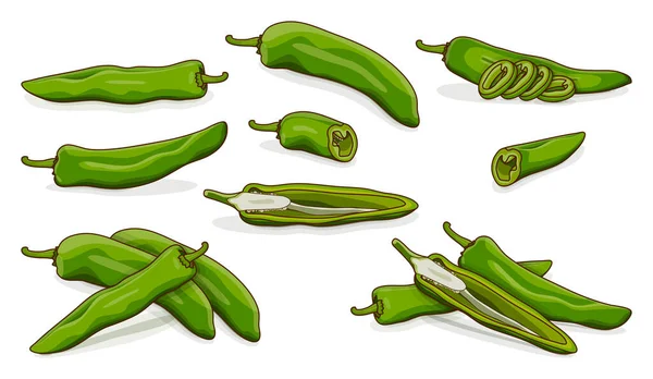 Sada Celými Půl Čtvrt Plátky Klíny Zelené Papriky Capsicum Annuum Stock Ilustrace