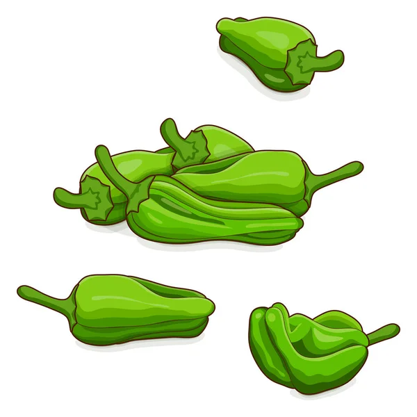 一群绿色的小学徒辣椒 Pimientos Padron Pemento Herbon Capsicum Annuum 辣椒辣椒 新鲜有机蔬菜 卡通风格 — 图库矢量图片