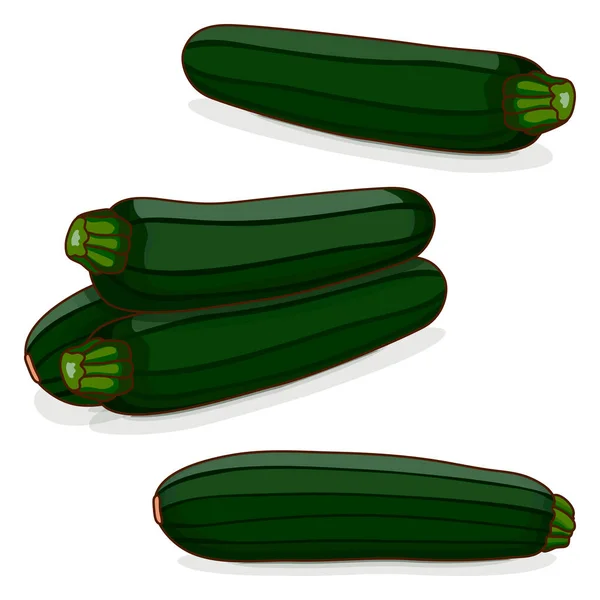 Groep Van Zwarte Schoonheid Zucchini Donkergroene Zucchini Courgette Merg Zomerpompoen — Stockvector