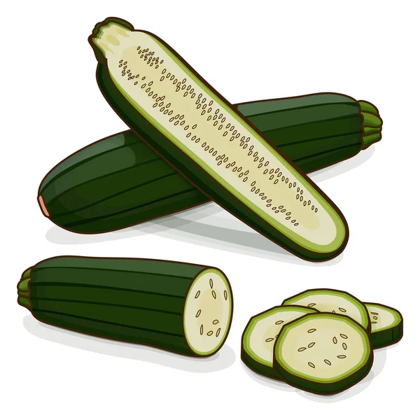 Entero Medio Cuarto Black Beauty Zucchini Dark Green Zucchini Calabacín — Vector de stock