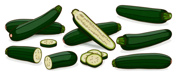 Set Zucchine Bellezza Nera Zucchine Verde Scuro Courgette Midollo Zucca — Vettoriale Stock