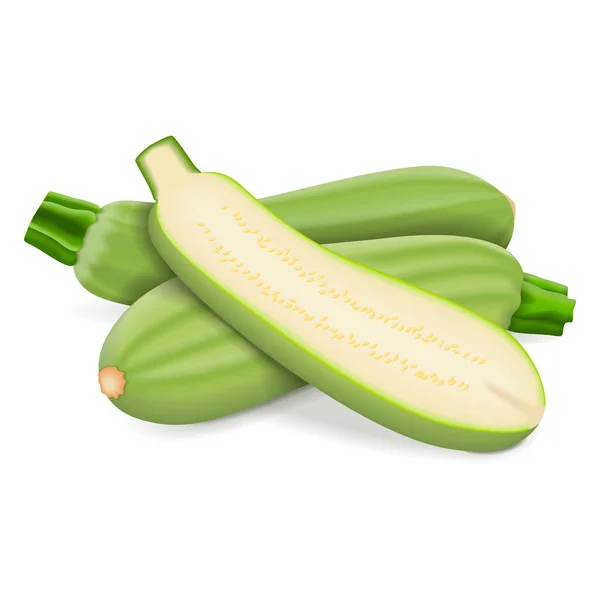 Ganze Und Halbe Libanesische Zucchini Oder Grüne Zucchini Zucchini Oder — Stockvektor