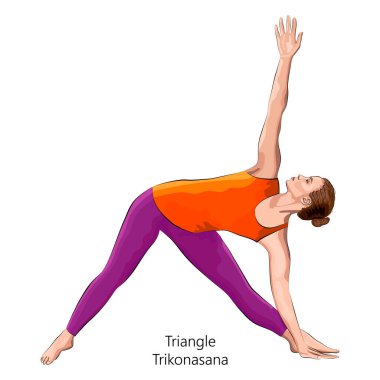 Full length side view of young woman practicing yoga exercise, doing Triangle pose or Trikonasana. Standing and Lateral Bend. Beginner. Vector illustration isolated on white background. clipart