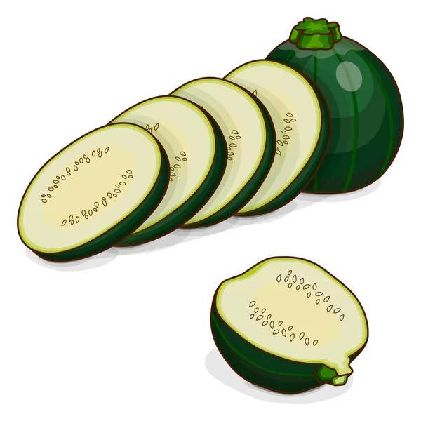 Whole Half Quarter Slices Zucchini Eight Ball Squash Calabacín Médula — Vector de stock
