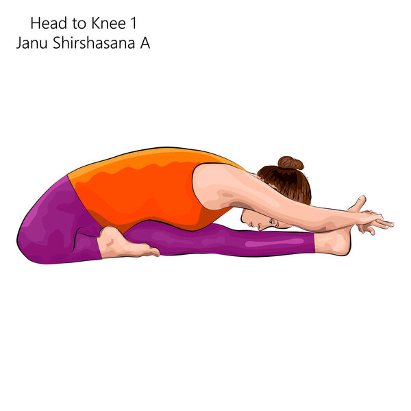 Young woman practicing yoga exercise, doing Head to Knee 1 pose. Janu Shirshasana A. Seated and Forward Bend. Beginner. Vector illustration isolated on white background.
