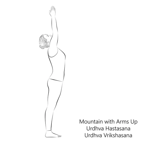 年轻女子练瑜伽 举手投山 向上敬礼 向上的树 延伸的山 Urdhva Hastasana Urdhva Vrikshasana在透明背景下孤立的矢量说明 — 图库矢量图片