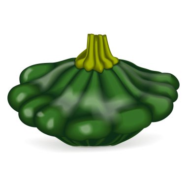 Yeşil Patty Pan kabağı, karides ya da deniz tarağı kabağı. Yaz kabağı. Cucurbita pepo. Meyve ve sebze. Vektör illüstrasyonu beyaz arkaplanda izole edildi.