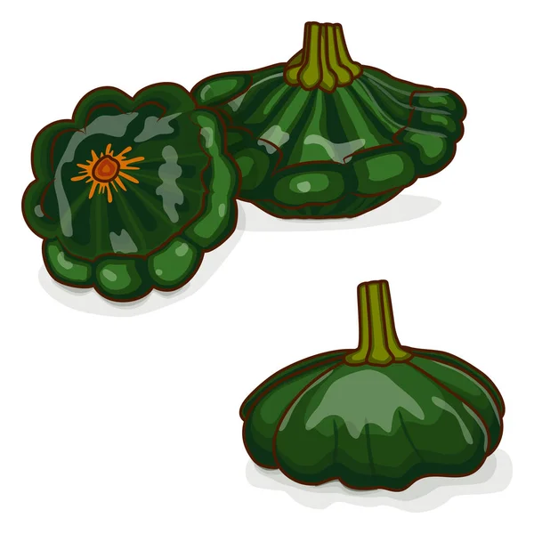 一组绿色帕蒂潘氏南瓜或斯卡洛皮或斯卡洛皮尼南瓜 夏天的壁球曲奇饼辣椒 水果和蔬菜 卡通风格 在白色背景上孤立的向量图 — 图库矢量图片