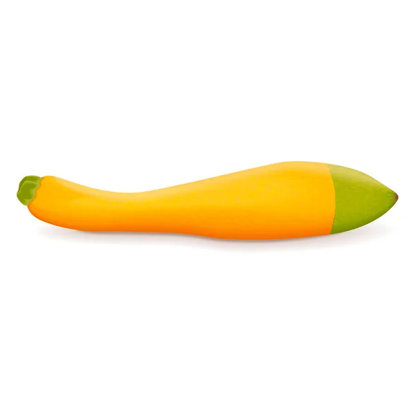 Zephyr Squash Courge Été Cucurbita Pepo Fruits Légumes Frais Biologiques — Image vectorielle