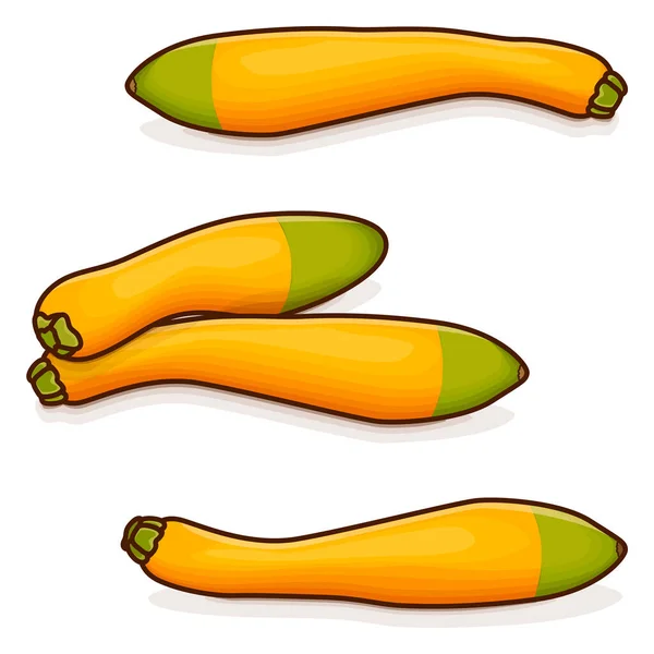 Group Zephyr Squash Summer Squash Cucurbita Pepo Fruits Vegetables Cartoon — Stock Vector