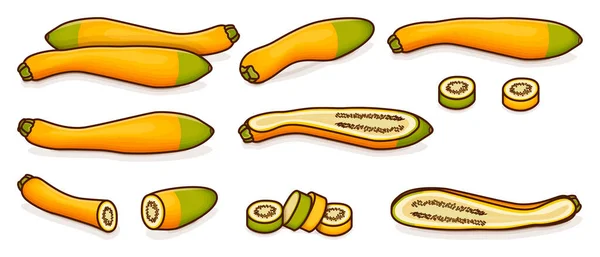 设置与完整的 四分之一和切片泽弗南瓜 夏天的壁球曲奇饼辣椒 水果和蔬菜 卡通风格 在白色背景上孤立的向量图 — 图库矢量图片