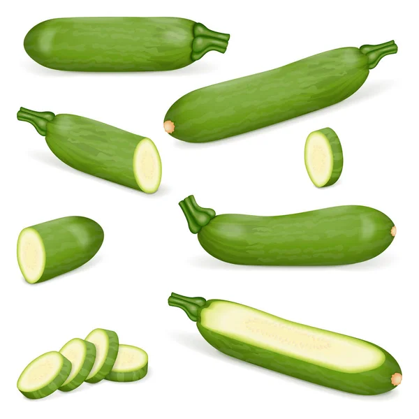 Set Aus Aehobak Oder Koreanischer Zucchini Oder Koreanischer Zucchini Sommerkürbis — Stockvektor
