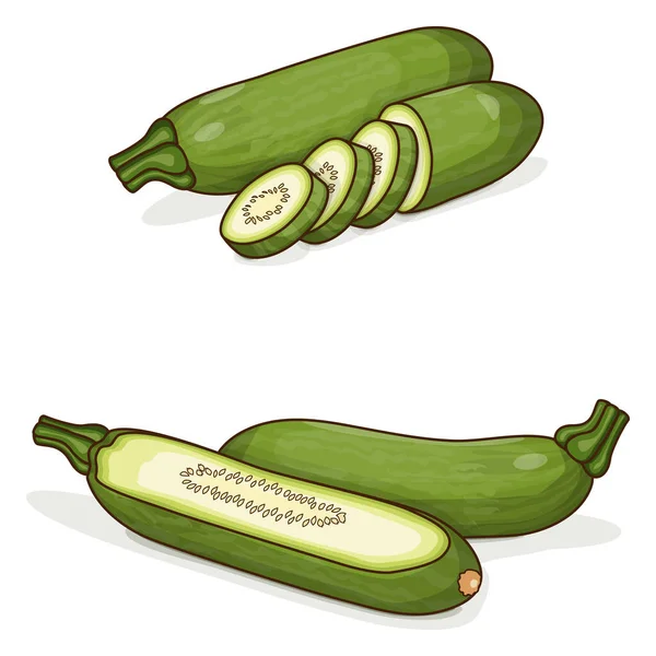 Courgettes Entières Hachées Aehobak Courgette Coréenne Courge Été Fruits Légumes — Image vectorielle