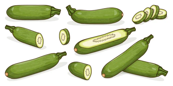 Set Con Intere Metà Quarto Fette Aehobak Zucchine Coreane Zucchine — Vettoriale Stock