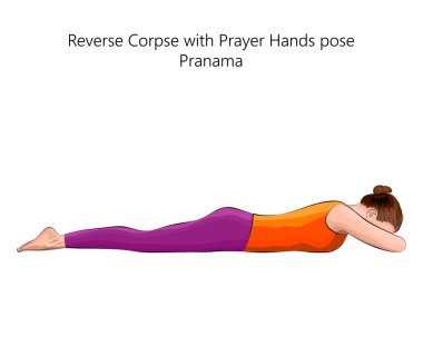 Yoga egzersizi yapan genç bir kadın, dua eden ellerle ters ceset pozu veriyor. Pranama. Eğik ve nötr. Acemi. İzole vektör illüstrasyonu.