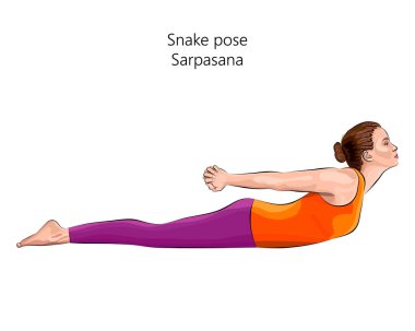 Yoga egzersizi yapan, Yılan pozu veren genç bir kadın. Sarpasana. Eğik ve Geri Bükük. Acemi. İzole vektör illüstrasyonu.