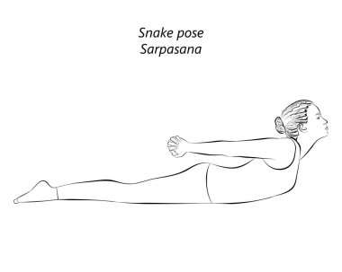Yoga yapan, Yılan pozu veren genç bir kadının çizimi. Sarpasana. Eğik ve Geri Bükük. Acemi. İzole vektör illüstrasyonu.