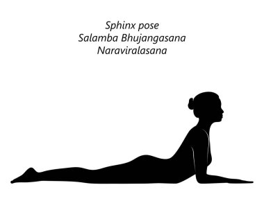 Yoga yapan, Sfenks pozu veren siyah bir kadın silueti. Salamba Bhujangasana. Naraviralasana. Geriye doğru. Eğik ve Geri Bükük. Acemi. İzole vektör illüstrasyonu.