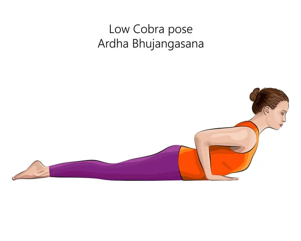 Mujer Joven Practicando Ejercicio Yoga Haciendo Pose Low Cobra Pose — Archivo Imágenes Vectoriales