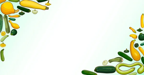 Bannière Rectangulaire Avec Différents Types Courges Été Cucurbita Cucurbitaceae Fruits — Image vectorielle