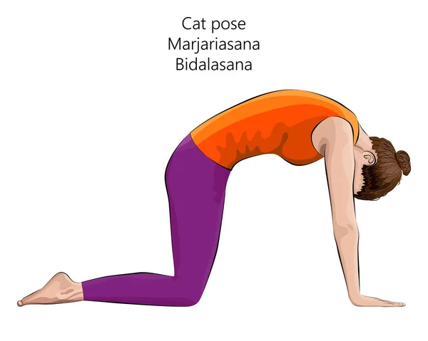 Junge Frau Praktiziert Yoga Übungen Macht Katzenpose Marjariasana Bidalasana Armbeinstütze — Stockvektor