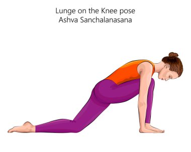Yoga egzersizi yapan genç bir kadın, Diz pozu ya da binicilik pozu veriyor. At pozu. Ashva Sanchalanasana. Kol Bacağı Destek ve Dengeleme. Acemi. İzole vektör illüstrasyonu.