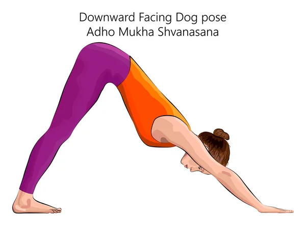 Mujer Joven Practicando Ejercicio Yoga Haciendo Pose Perro Boca Abajo — Vector de stock
