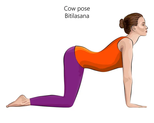 Jeune Femme Pratiquant Exercice Yoga Faisant Pose Vache Pose Chien — Image vectorielle