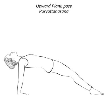 Yoga yapan, Yukarı Plank ya da Ters Plank yapan genç bir kadının çizimi. Yükseltilmiş uçak duruşu. Purvottanasana. Kol Bacağı Desteği ve Arka Büküm. Acemi. İzole vektör illüstrasyonu.