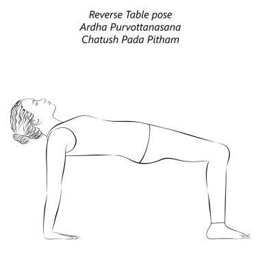 Yoga yapan genç bir kadının çizimi, ters masa pozu ya da yengeç pozu. Ardha Purvottanasana. Kol Bacağı Desteği ve Arka Büküm. Acemi. İzole vektör illüstrasyonu.