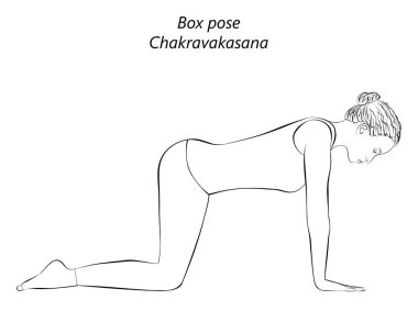 Yoga yapan genç bir kadının robot resmi. Kutu pozisyonu, masa pozu ya da Ruddy Goose pozisyonu. Chakravakasana. Kol Bacağı Desteği ve Nötr. Acemi. İzole vektör illüstrasyonu.