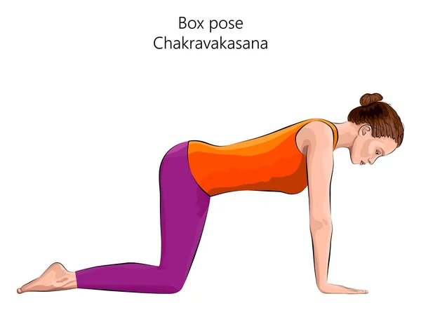 Giovane Donna Che Pratica Esercizio Yoga Facendo Box Pose Table — Vettoriale Stock