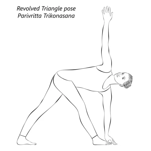 Schizzo Giovane Donna Che Pratica Yoga Facendo Posa Triangolo Evoluto — Vettoriale Stock
