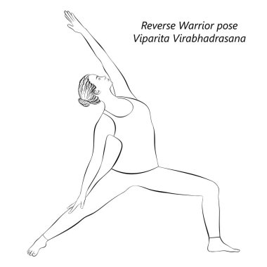 Yoga yapan, ters savaşçı pozu veren genç bir kadının çizimi. Viparita Virabhadrasana. Ayakta ve Yandan Eğil. Orta karar. İzole vektör illüstrasyonu.